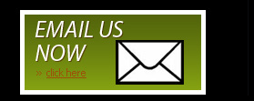 Email Us Now
