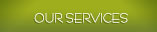 Our Services